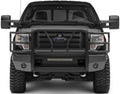 09-14 Ford F150  Fine Textured Blac