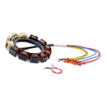 Stator