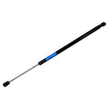 LIFTGATE GLASS SUPPORT