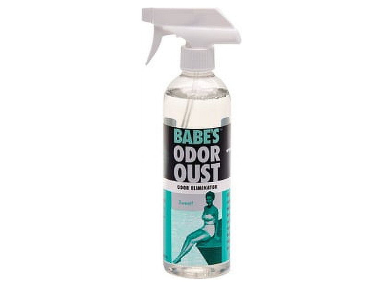Babe'S Odor Oust Odor Neutralizer - 16Oz