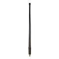 Antenna  Shorty