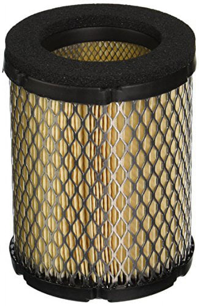 Onan Air Filter