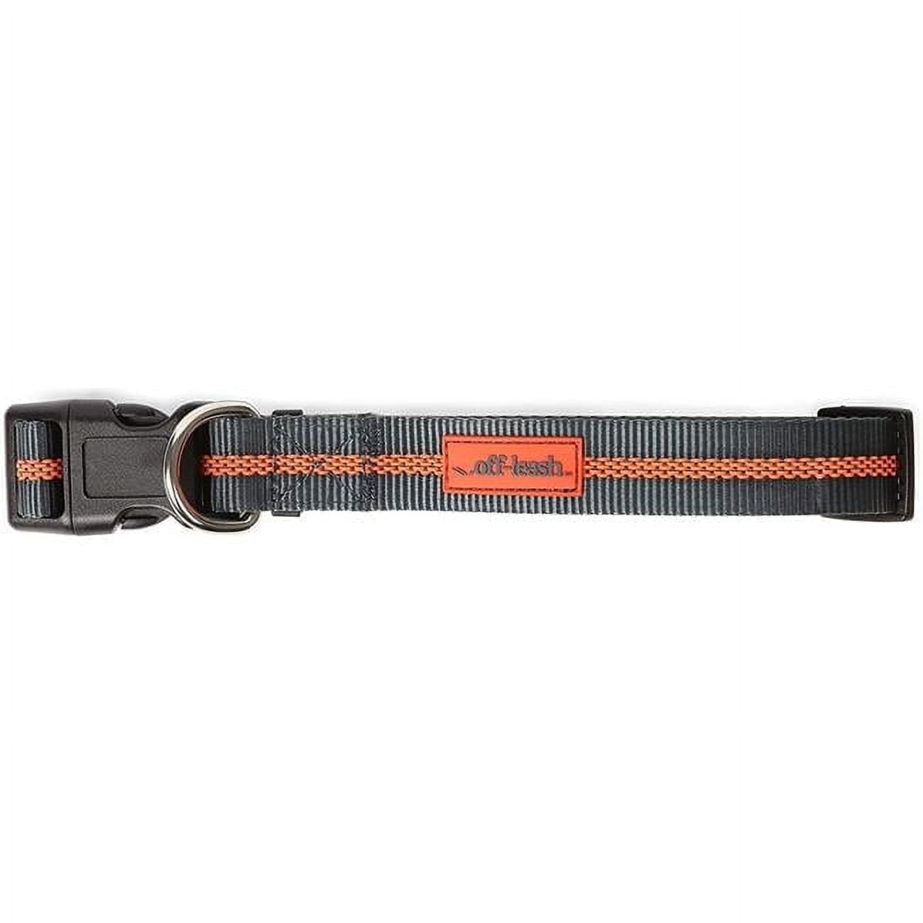 Off-Leash Collar - Large