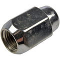 Whlnut Acorn 2PC M141.