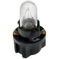 Interior Bulb