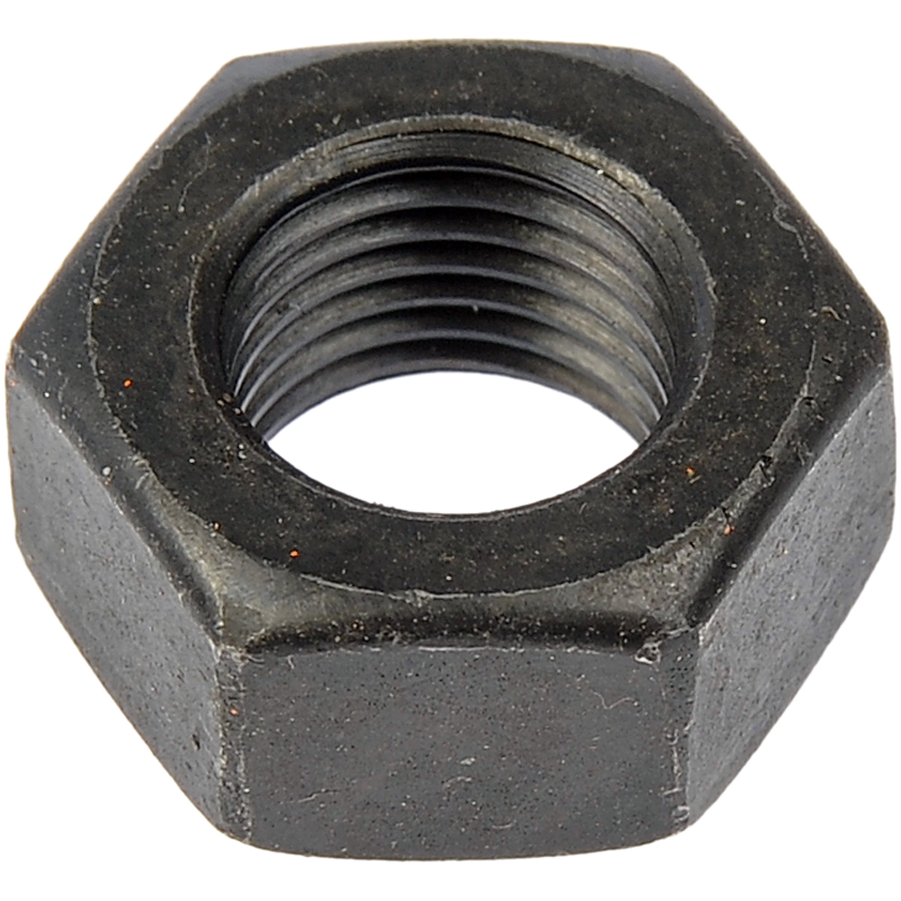 Hex Nut