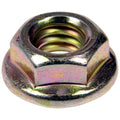 Flange Hex Nut