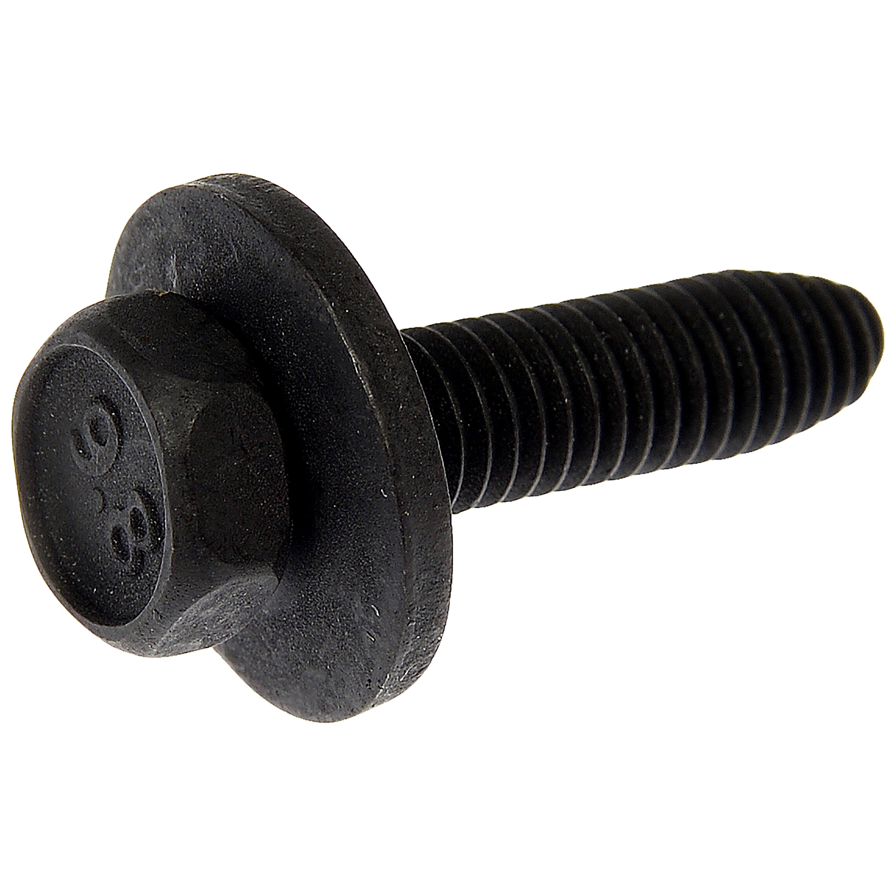Body Bolt