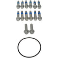 Hub Rotor and Caliper Bracket Bolt