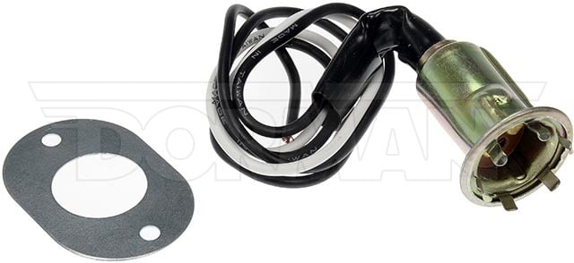 Socket Light W/Adaptor P