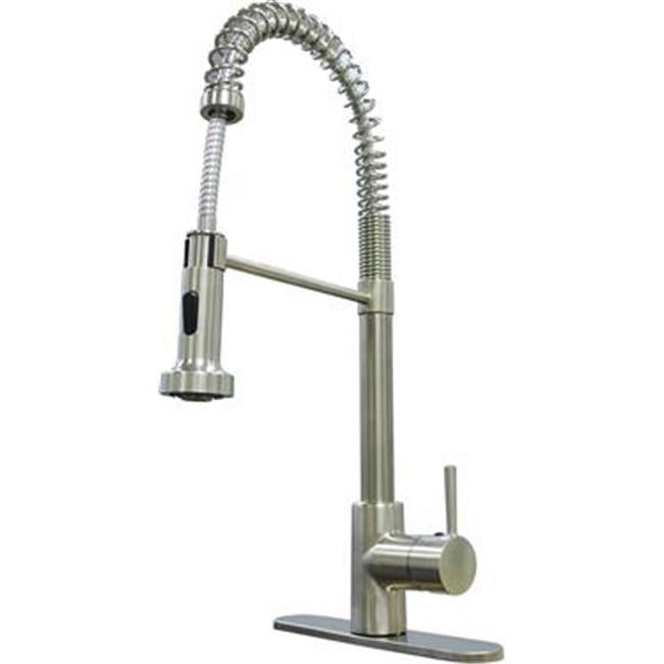 Coiled Spr Faucet  Sgle Brsh Nckel