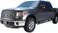 Winter Front / Bug Screen Ford F-Se