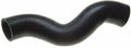 Coolant Hose