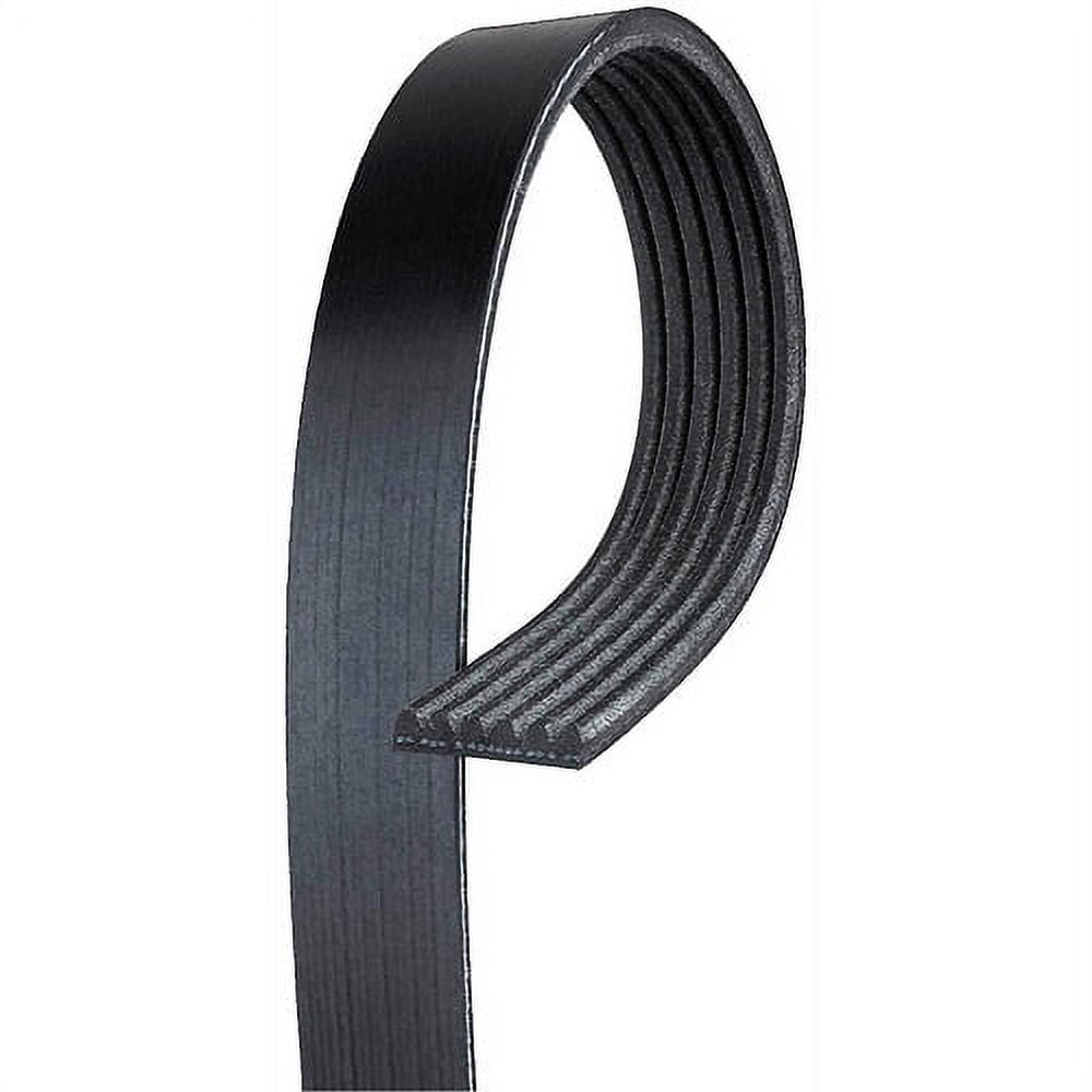 V-Ribbed Belt