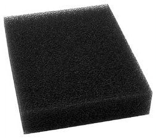 Skid Plate Foam  Blue