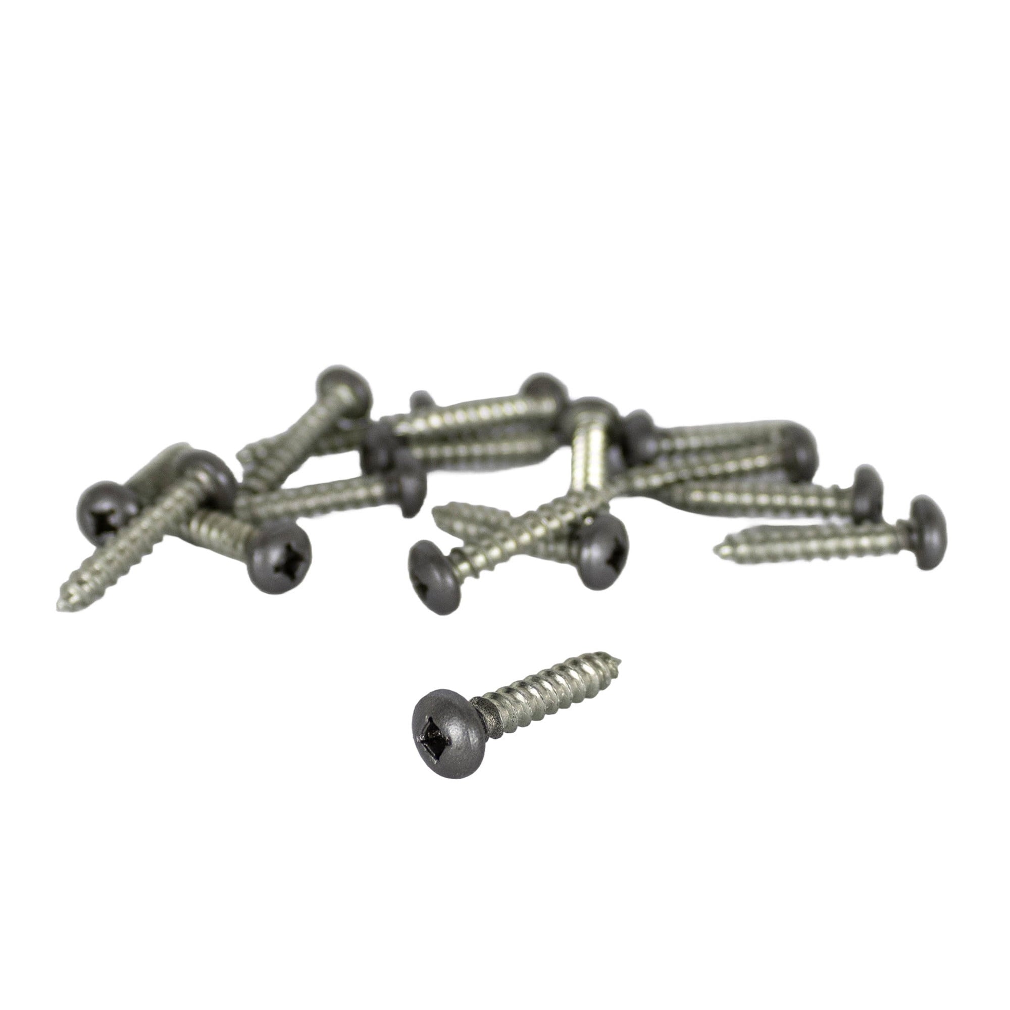 Screws  Qty 15  Painted  Fender Ins