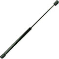 Gas Spring