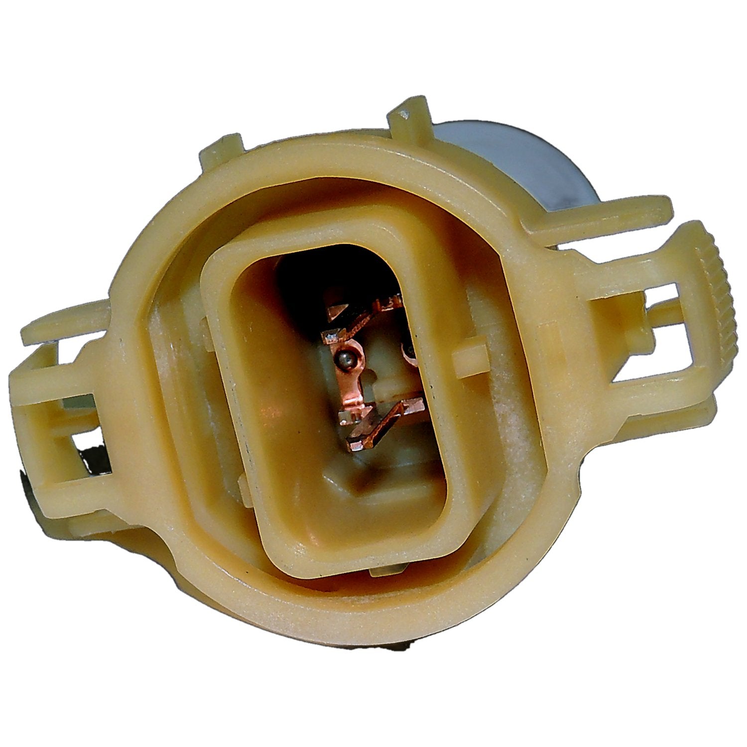 FOG LIGHT BULB
