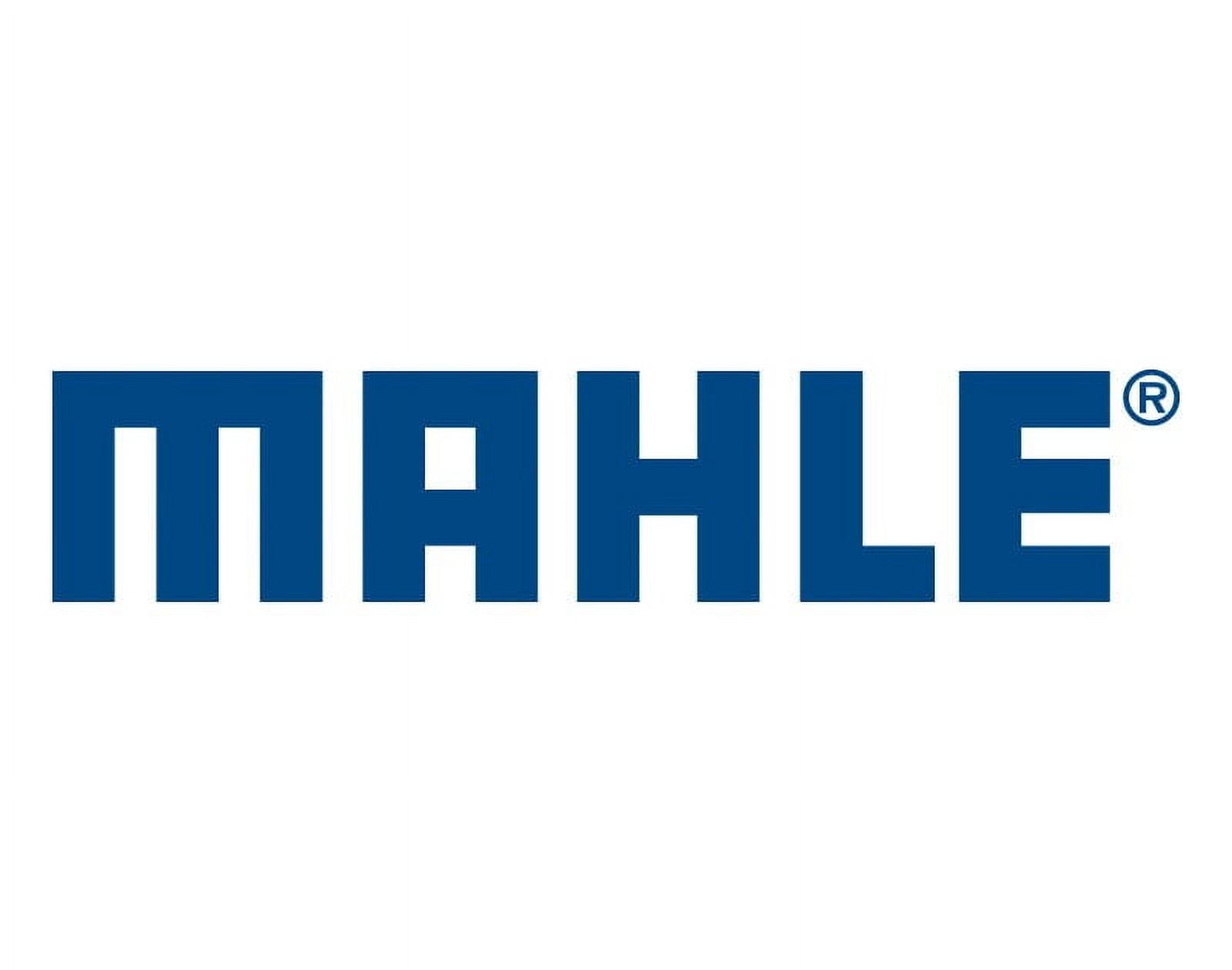 Mahle Filters