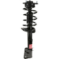 Quick-Strut Assembly