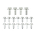 Pan Bolts-Sb Chev  14PC