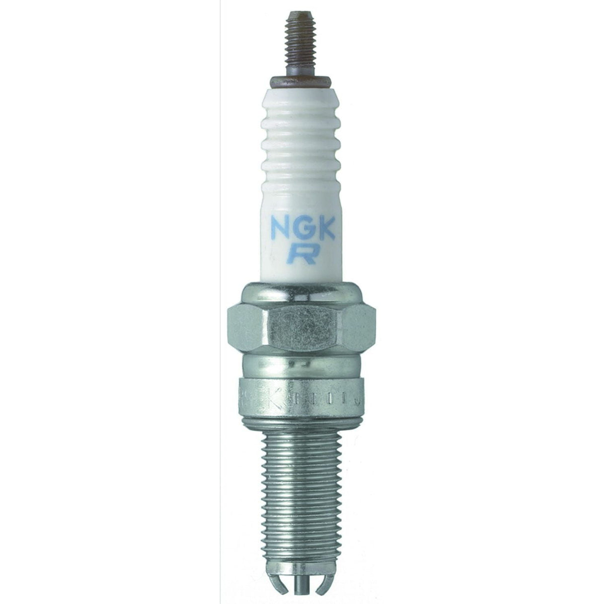 Regular Spark Plugs