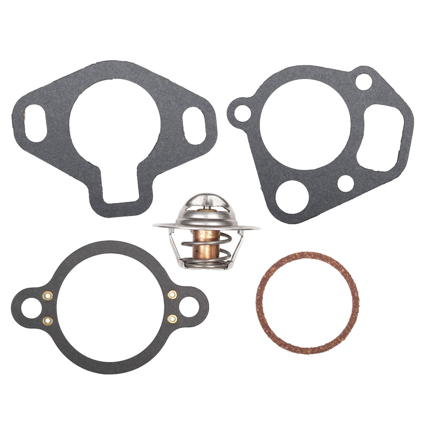 Thermostat Kit