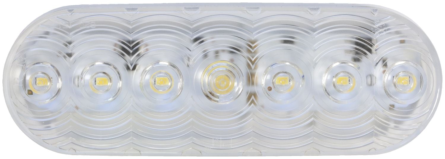 LED Oval Backup Light  Cl