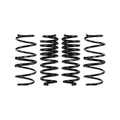 Pro-Kit Performance Springs (Set of