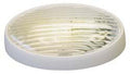 Oval Porch/No Switch/Amber & Clear