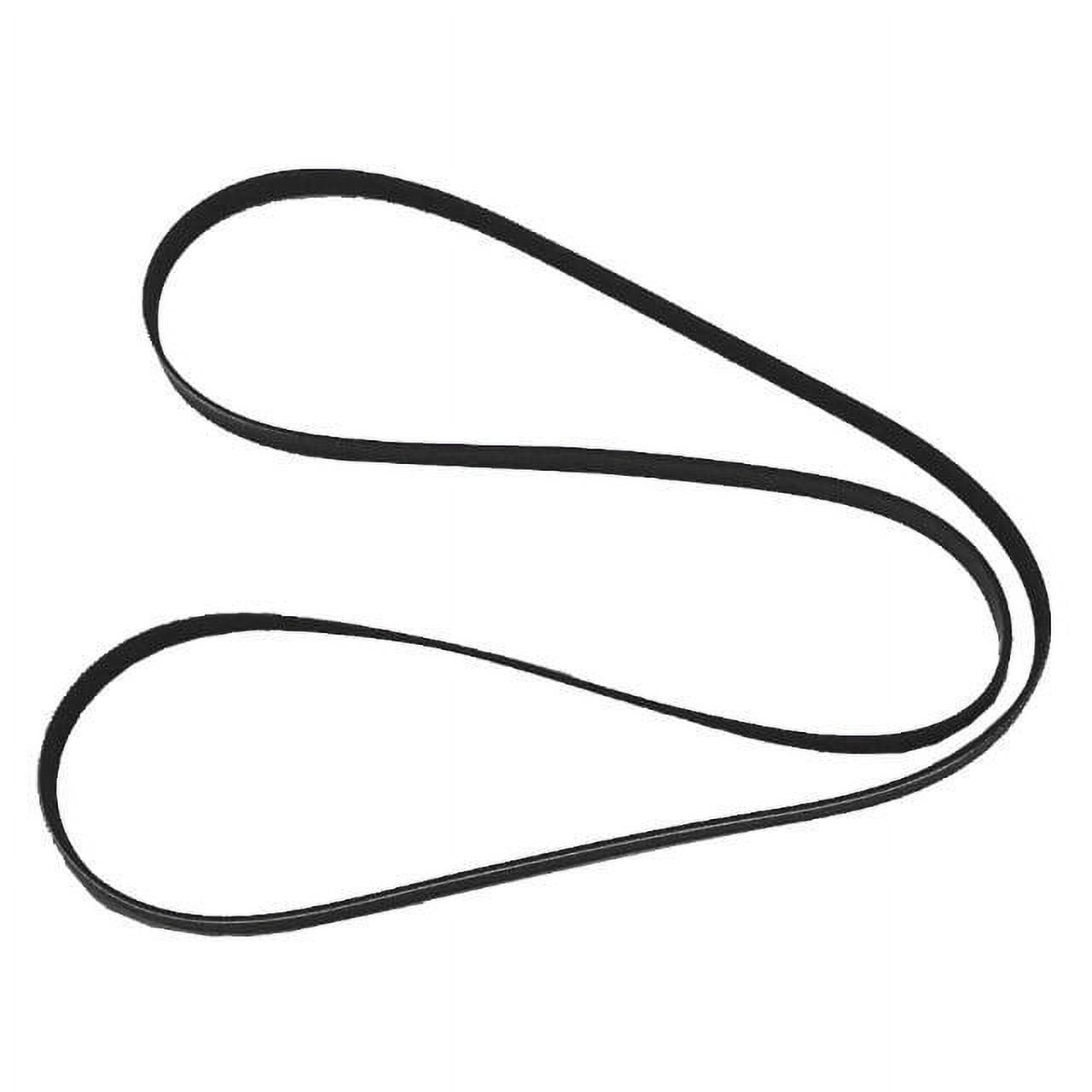 Serpentine Belt