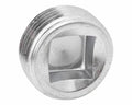 Pipe Plug