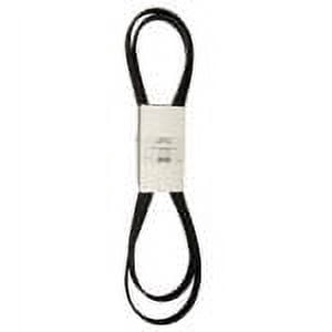 Serpentine Belt