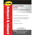 Paint Phantom Black