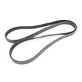 Serpentine Belt