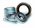 Tie Down Engineering Precision Tapered Roller Bearing Kit