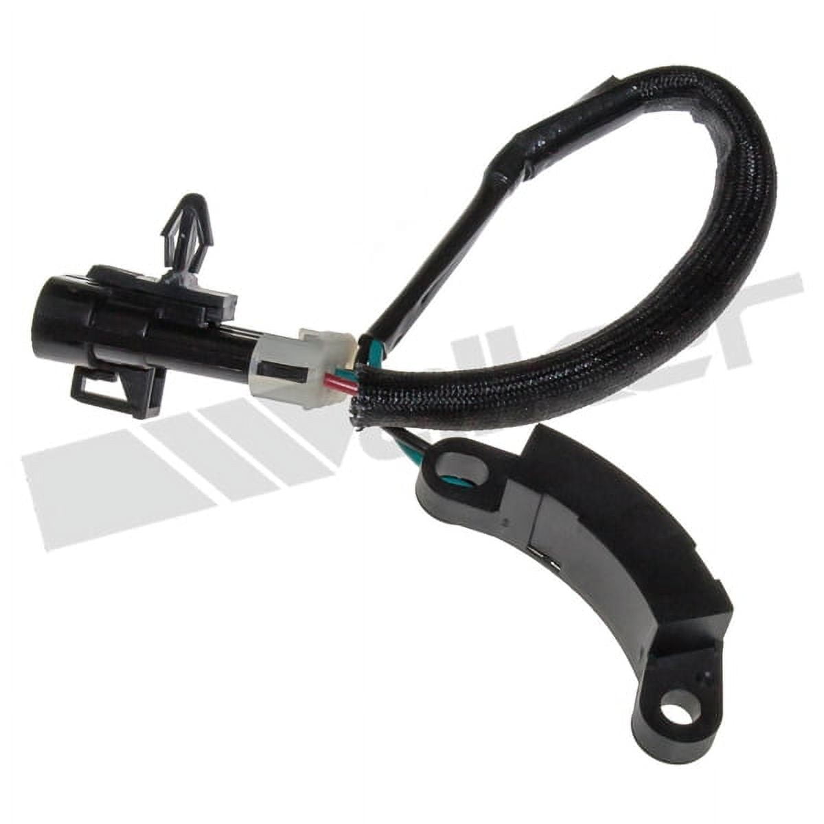 Engine Crankshaft Position Sensor