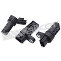 Engine Camshaft Position Sensor/Eng