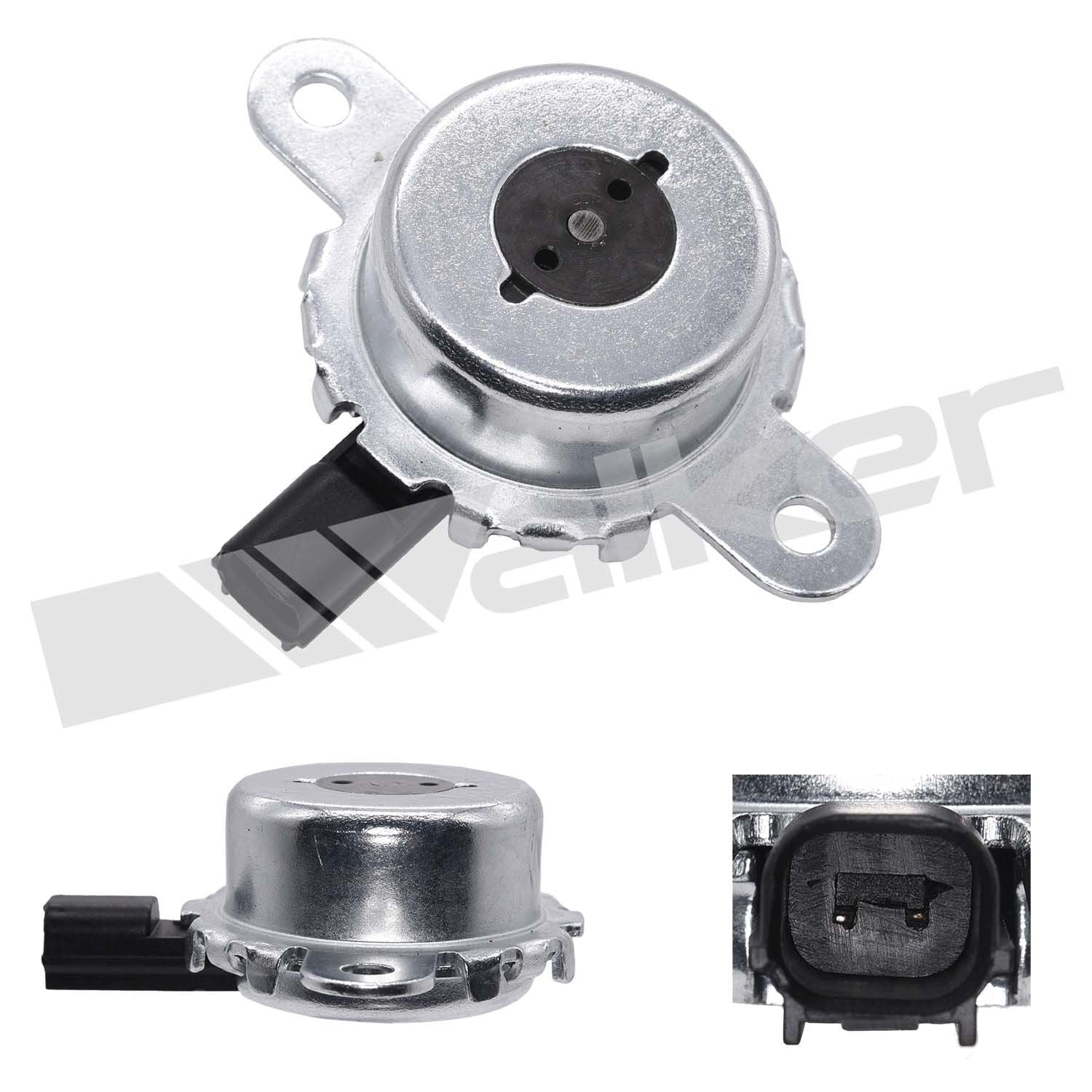 Engine Variable Valve Timing (Vvt)