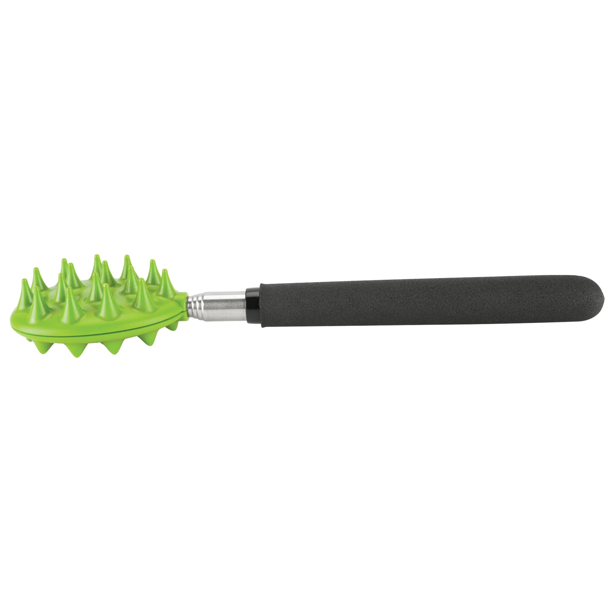 Cactus Back Scratcher